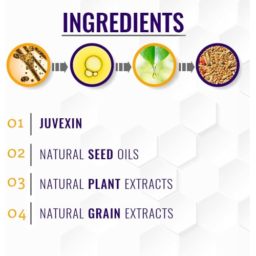 شامبو جي كيه سيلفر بومبشيل | 280 مل شامبو جي كيه سيلفر بومبشيل | 280 مل